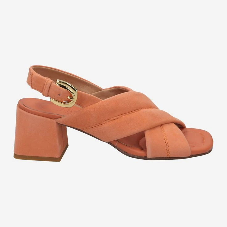 Art. FHARA ACE 49.198.139-002 - Orange - Image 3