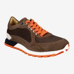 Art.  12384 - Brown