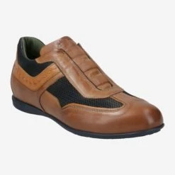 Art.  313110 V19055 - Brown