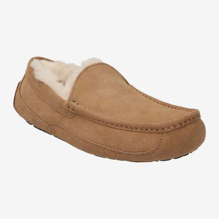 Ugg Art. 1101110-CHE ASCOT - Brown