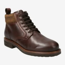 Art.  322318* V19355 - Brown