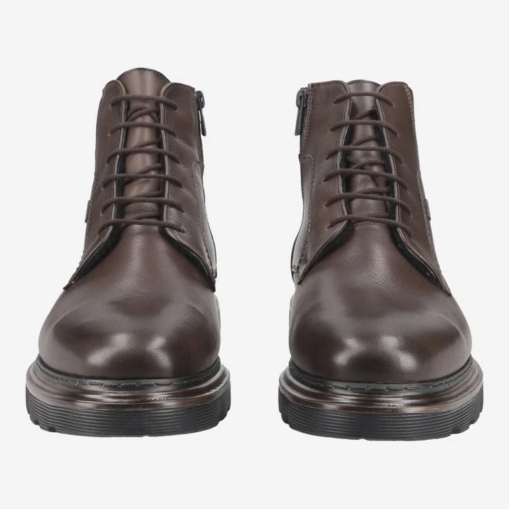 Lloyd Art. 23-531-05 VINE DANILO - - Image 2