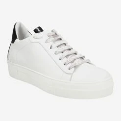 Art.  43.168.111-003 - White