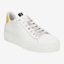 Art.  43.168.111 - White