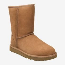 Ugg Art.  CLASSIC SHORT II - Brown
