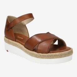 Lloyd Art. 12-504-01 - Brown