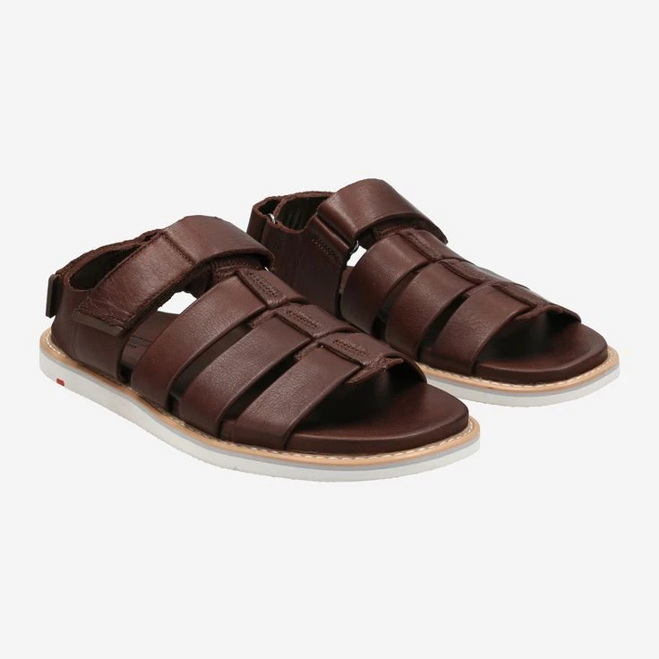 Lloyd Art. 13-404-03* ELIMAR - Brown - Image 2