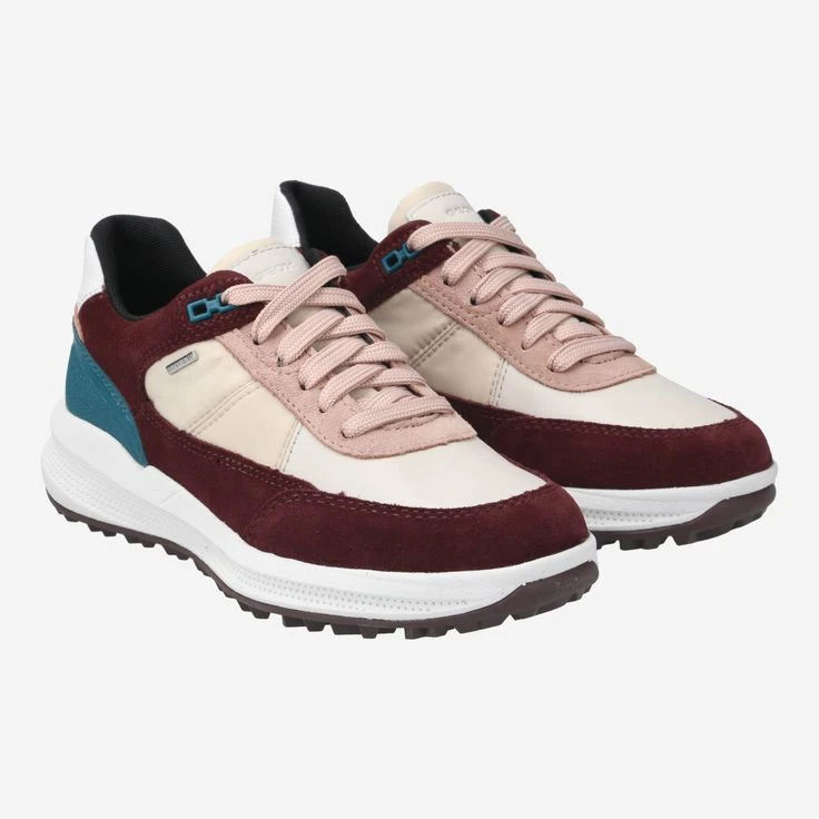 Geox Art. PG1X B ABX - Colorful - Image 2