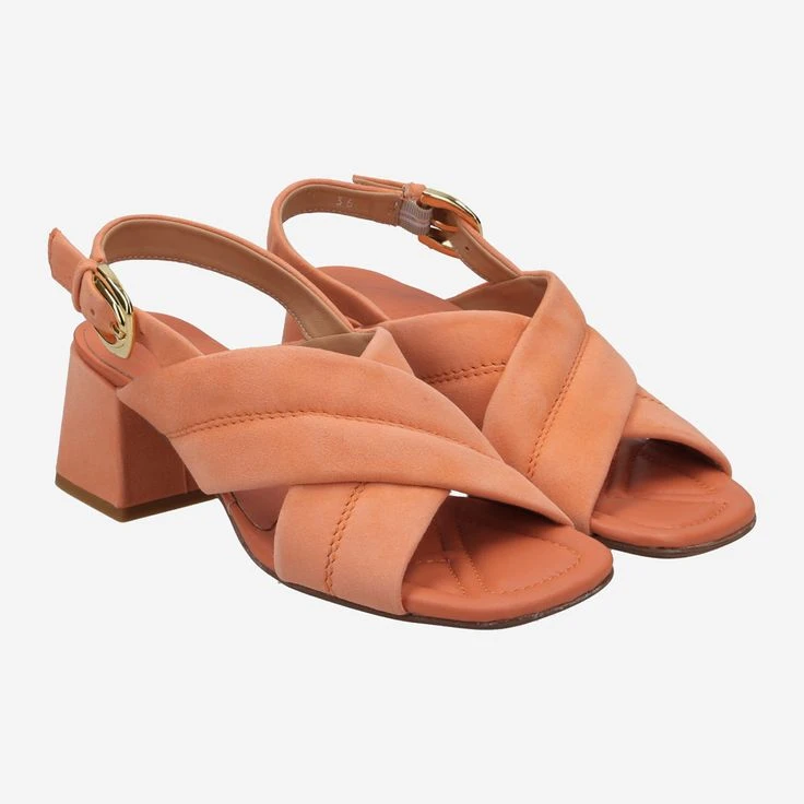 Art. FHARA ACE 49.198.139-002 - Orange - Image 2