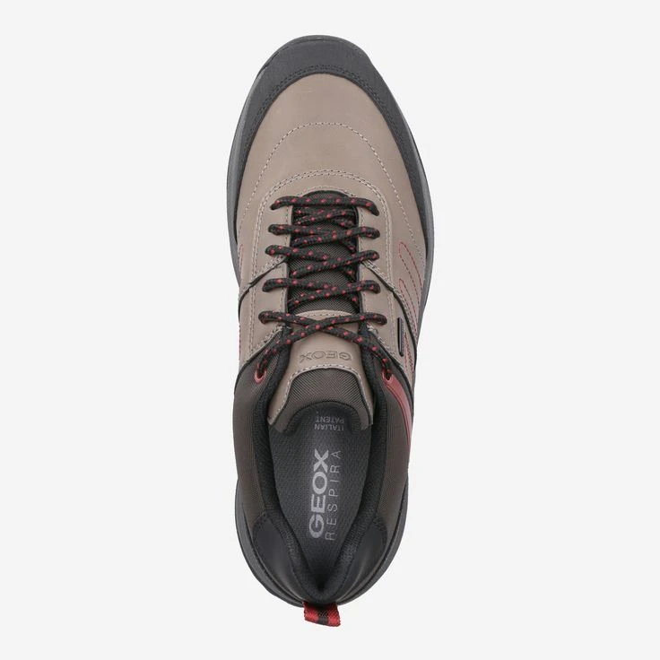 Geox Art. TERRESTRE - Beige Combined - Image 5