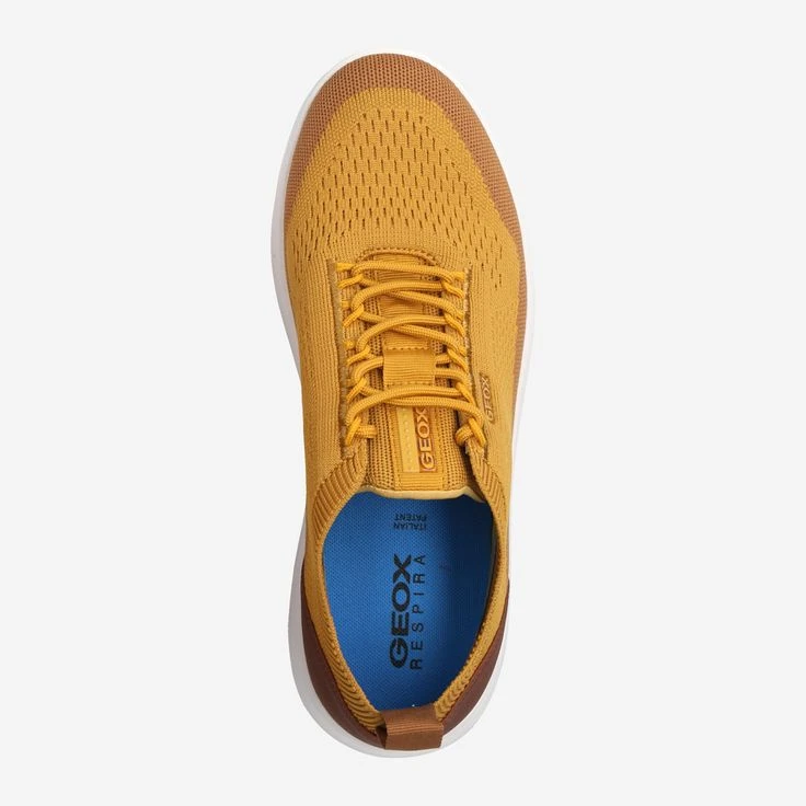 Geox Art. SPHERICA - Yellow - Image 5