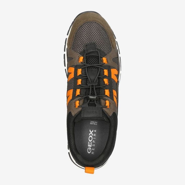 Geox Art. DELRAY - Green - Image 5