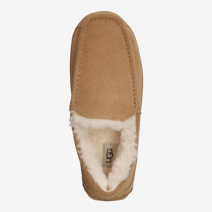 Ugg Art. 1101110-CHE ASCOT - Brown - Image 5