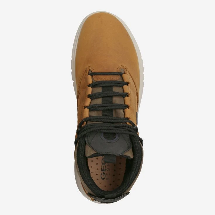 Geox Art. AERANTIS 4X4 - Brown - Image 5