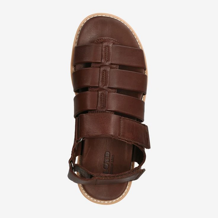 Lloyd Art. 13-404-03* ELIMAR - Brown - Image 5