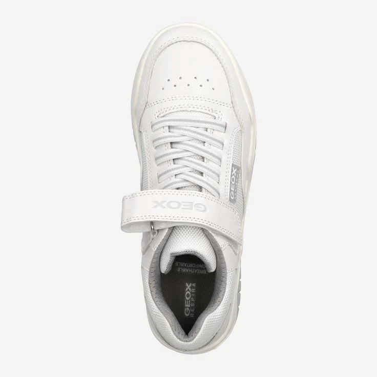 Geox Art. PERTH - White - Image 5